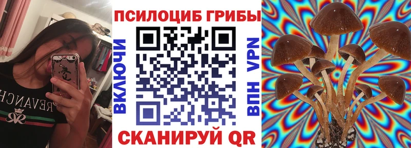 Галлюциногенные грибы GOLDEN TEACHER  хочу   Котельники 
